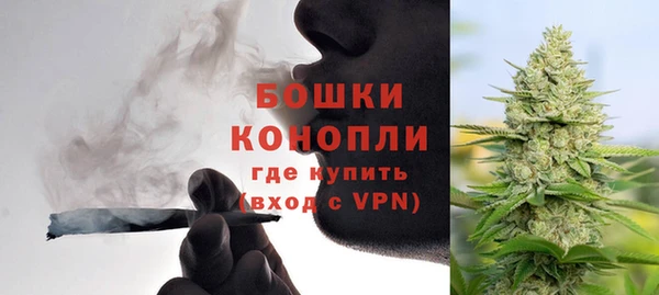 гашик Нея