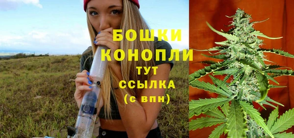 молекула духа Нефтекумск