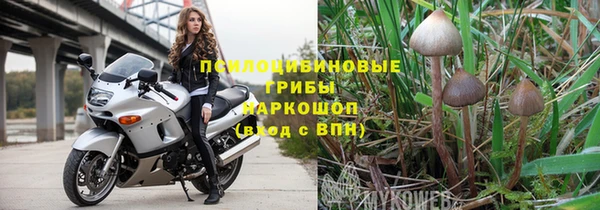 мдпв Болотное