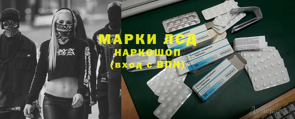 бошки Новодвинск