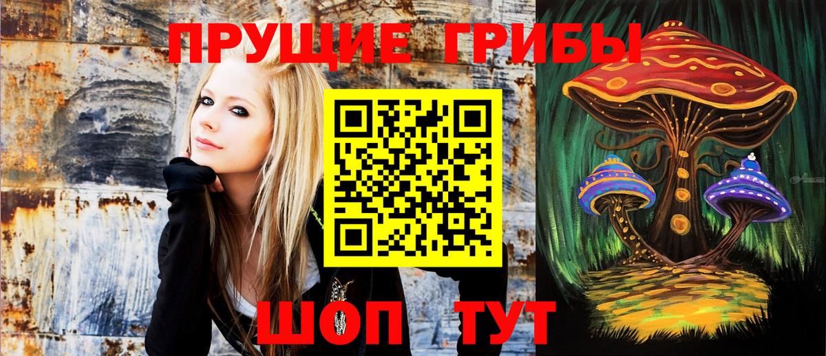 Псилоцибиновые грибы мухоморы Зерноград