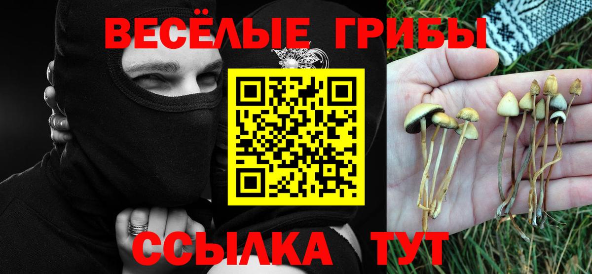 Псилоцибиновые грибы MAGIC MUSHROOMS  Зерноград 