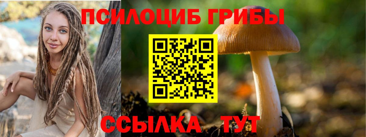 Галлюциногенные грибы GOLDEN TEACHER  Вход с VPN  Галлюциногенные грибы Magic Shrooms  Зерноград 